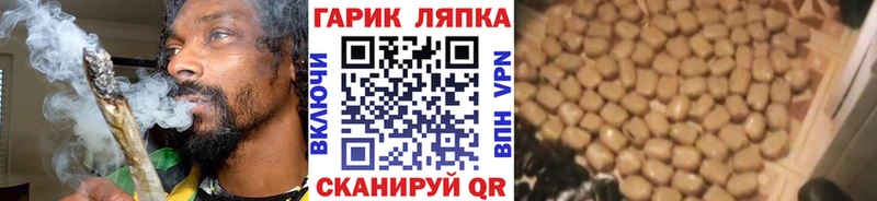 ГАШ Изолятор  Зубцов 