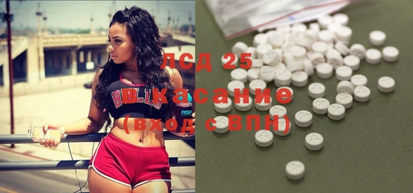 шишки Дмитров