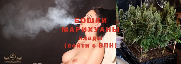 тгк Дмитровск