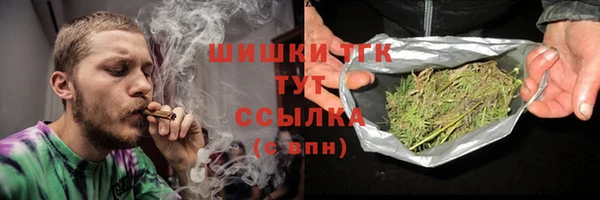 шишки Дмитров