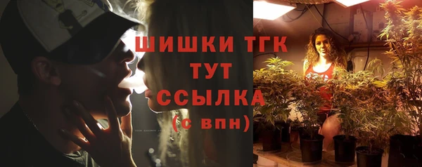 шишки Дмитров