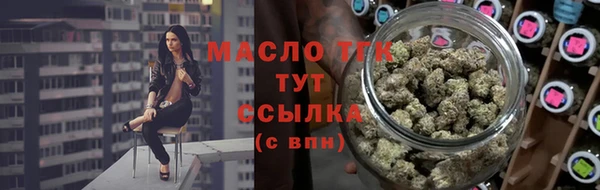 тгк Дмитровск