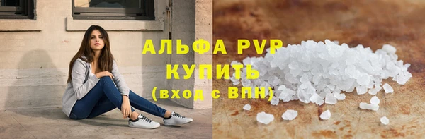 шишки Дмитров