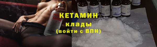 шишки Дмитров