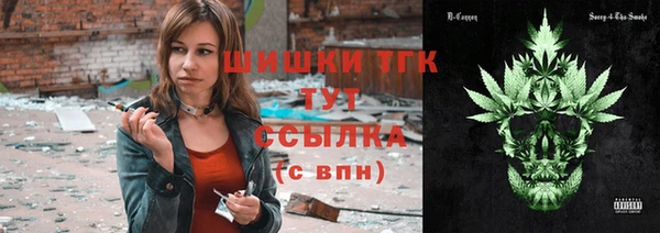 шишки Дмитров