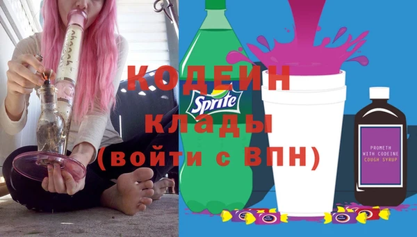 шишки Дмитров