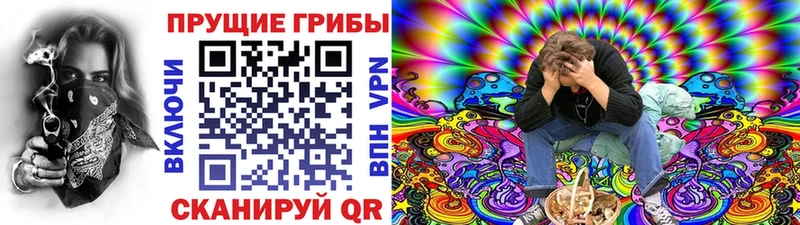 Галлюциногенные грибы Magic Shrooms  кракен сайт  Зубцов 